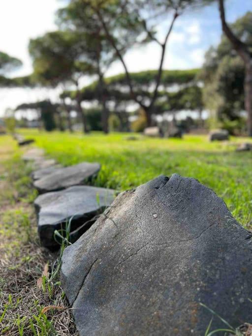 Per Antiqua Itinere Apartment Ostia Antica Ngoại thất bức ảnh