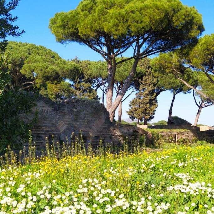 Per Antiqua Itinere Apartment Ostia Antica Ngoại thất bức ảnh